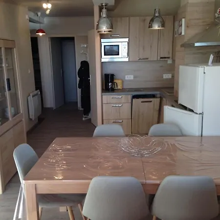 Grand 3 Pieces Avec Terrasse Et Equipements Modernes - Fr-1-814-72 Besse-et-Saint-Anastaise